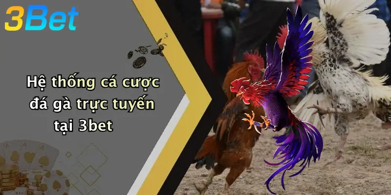 Hệ thống cá cược đá gà trực tuyến tại 789Win